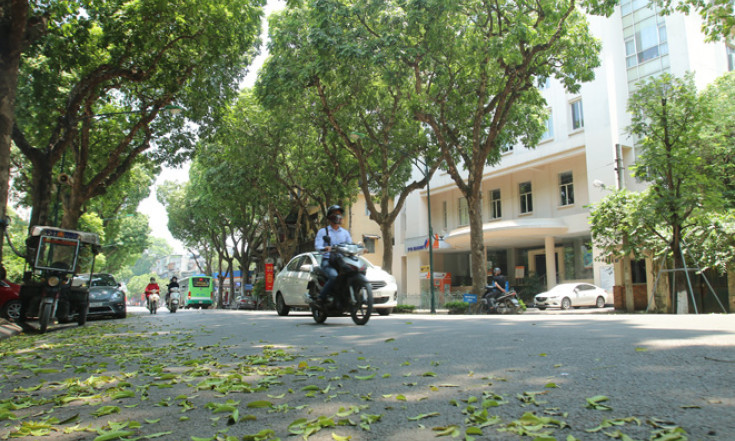Thời tiết ngày 27/5: Tây Nguyên và Nam Bộ có mưa dông