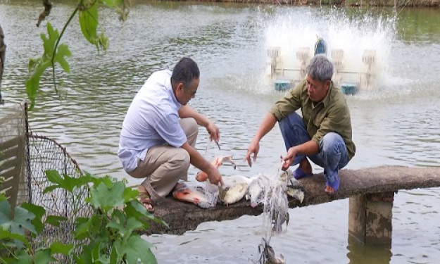 Hải Hà nhiều giải pháp hỗ trợ người dân phát triển kinh tế