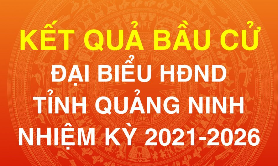 Danh sách trúng cử đại biểu Hội đồng nhân dân tỉnh khóa XIV, nhiệm kỳ 2021-2026