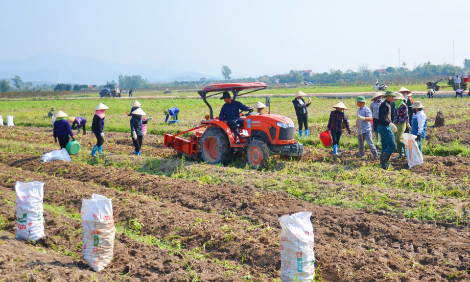 Thúc đẩy tiêu thụ nông sản mùa dịch Covid-19