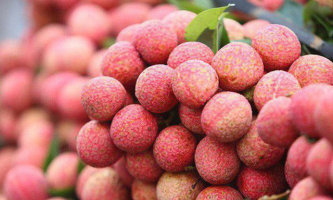 Vải thiều Việt Nam giá 500.000/kg tại Nhật Bản