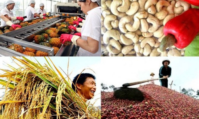 Xuất khẩu nông sản tăng trưởng ấn tượng 5 tháng đầu năm