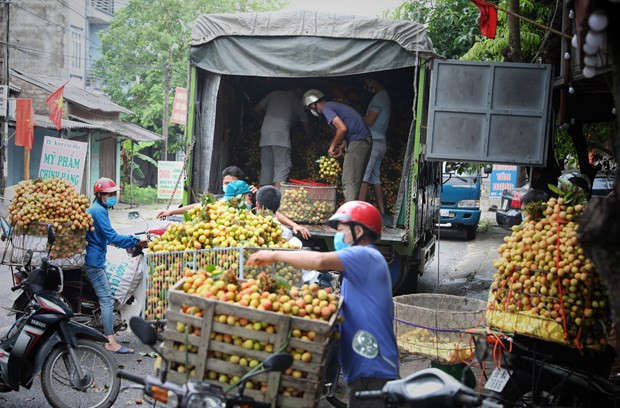 Vai thieu Bac Giang ''di Nhat'': Hai qua ngot tu dau tu bai ban hinh anh 1