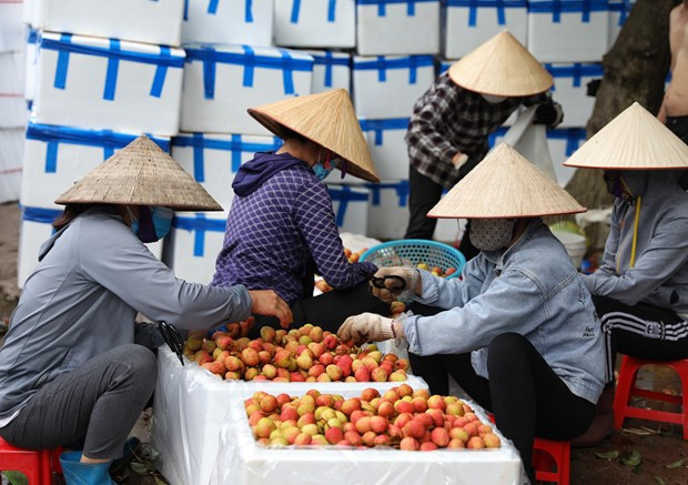 Vai thieu Bac Giang ''di Nhat'': Hai qua ngot tu dau tu bai ban hinh anh 3