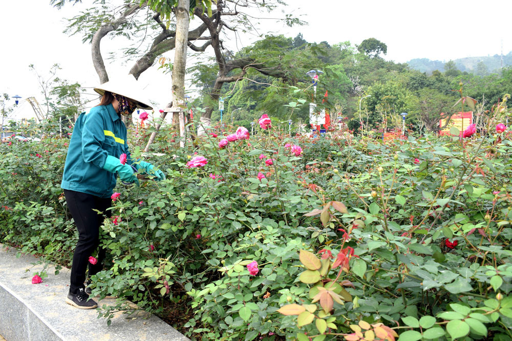 Nhân viên vệ sinh chăm sóc vườn hoa trong khuôn viên đền Cửa Ông. Ảnh: Công Thành