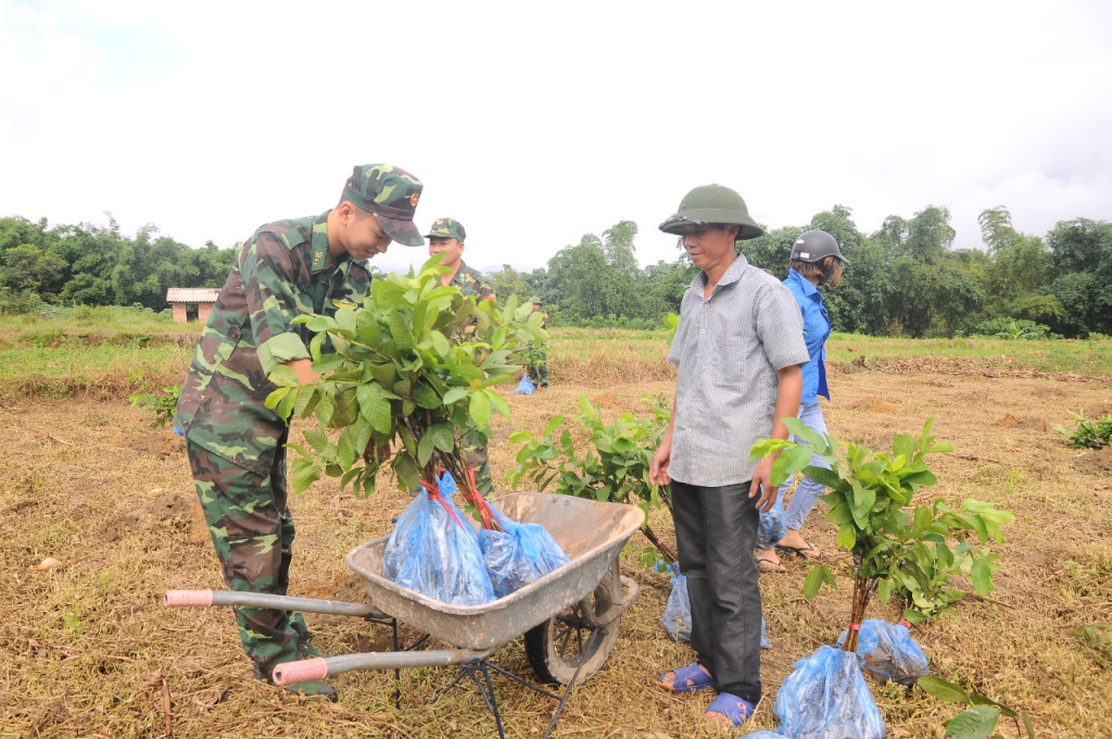 Đồn Biên phòng Pò Hèn giúp nhân dân xã Hải Sơn (TP Móng Cái) xây dựng vườn mẫu trồng cây ăn quả.