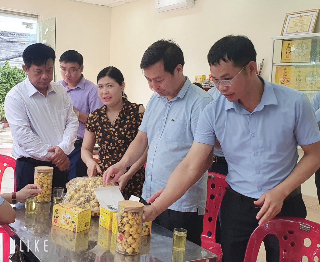 Kiểm tra tình hình sản xuất sản phẩm OCOP trà hoa vàng của Công ty TNHH Quy Hoa, xã Quảng Minh.