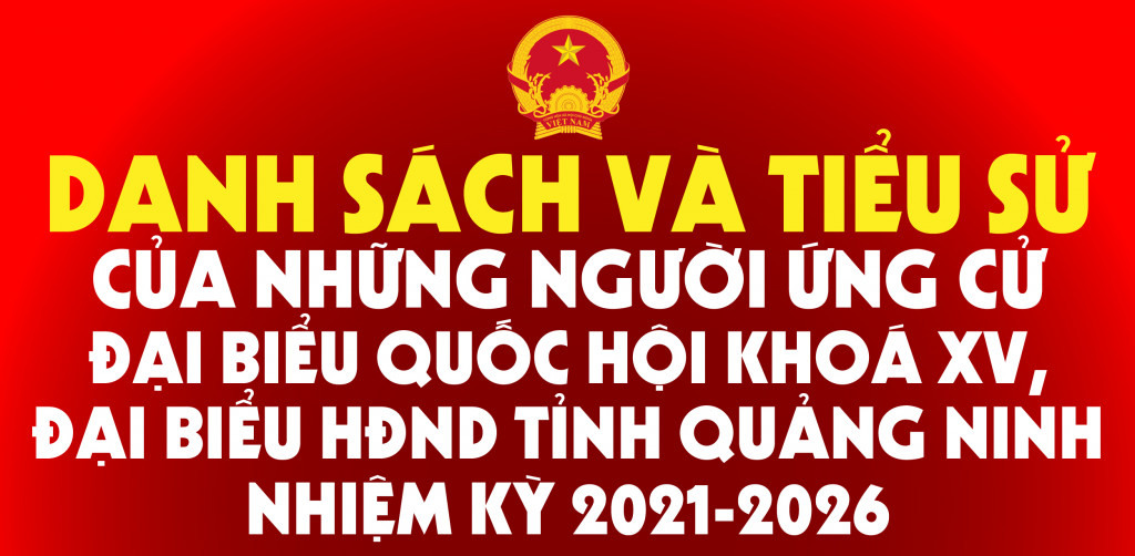 Tiểu sử tóm tắt của ĐBQH khóa XV và đại biểu HĐND các cấp nhiệm kỳ 2021-2026