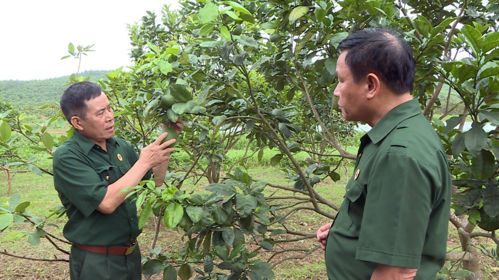 CCB Vũ Minh Thường (bên trái) hướng dẫn hội viên phát triển mô hình trồng cây ăn quả.