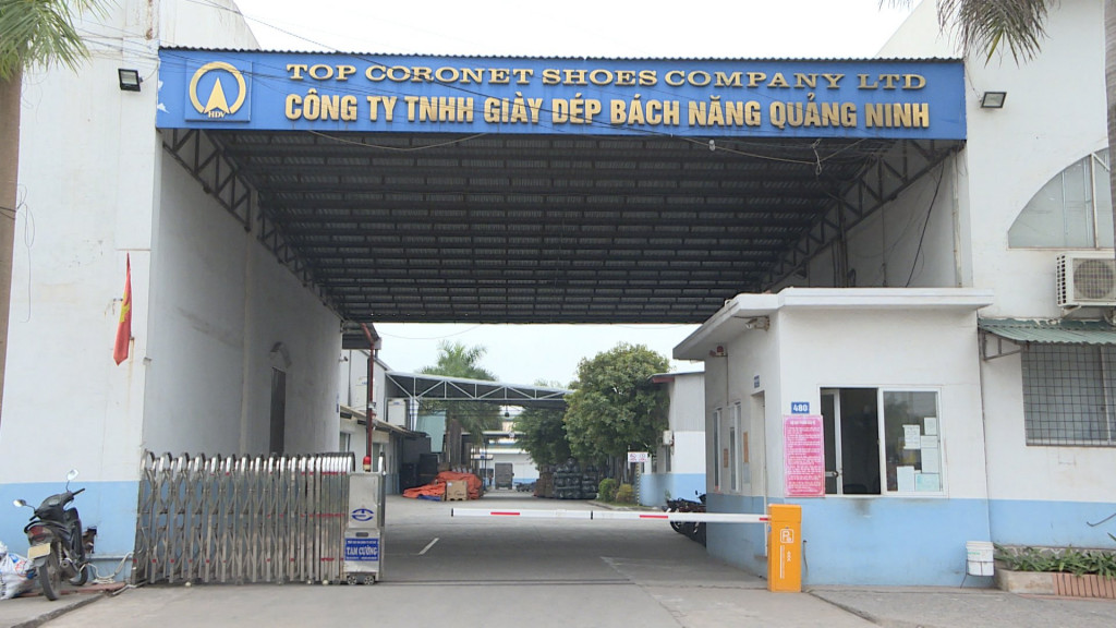 Công ty TNHH Giầy dép Bách Năng Quảng Ninh (TX Đông Triều).
