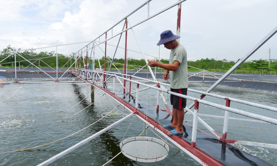 Phường Trưng Vương: Đổi thay sau sáp nhập