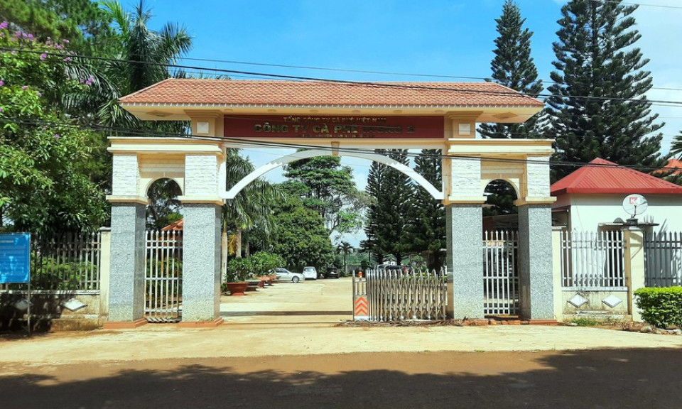 Khởi tố Giám đốc chi nhánh Tổng Cty Cà phê Việt Nam tại Gia Lai