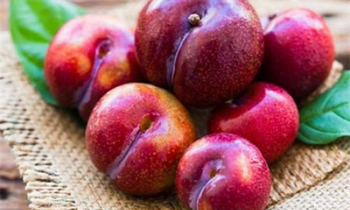 Tác dụng của quả mận mà bạn không ngờ tới