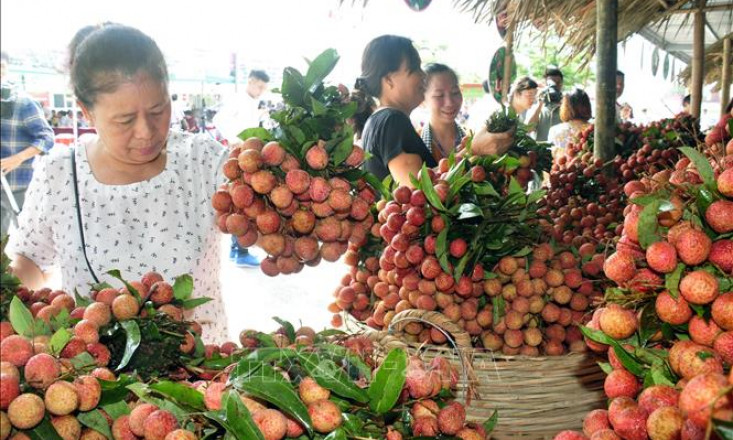Thiết lập hệ thống tiêu thụ nông sản địa phương bị ảnh hưởng dịch COVID-19