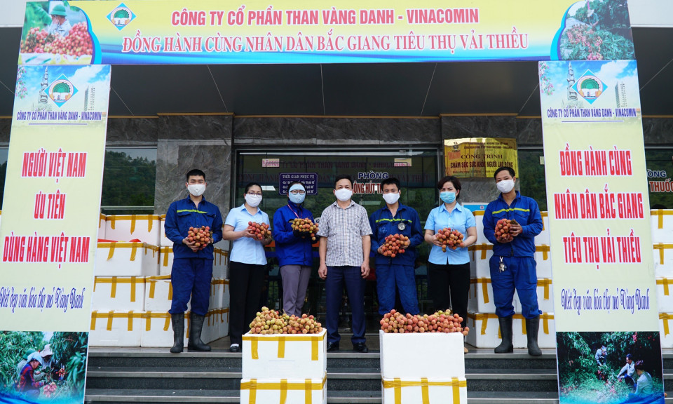 Công ty CP Than Vàng Danh hỗ trợ tiêu thụ 11 tấn vải thiều Bắc Giang