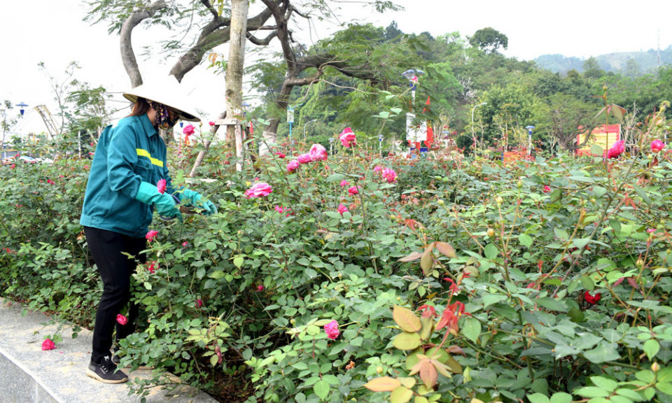 Bảo vệ môi trường khu di tích, danh thắng