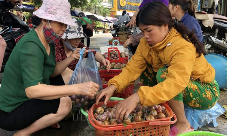Lào Cai giải bài toán tiêu thụ nông sản giữa bão dịch COVID-19