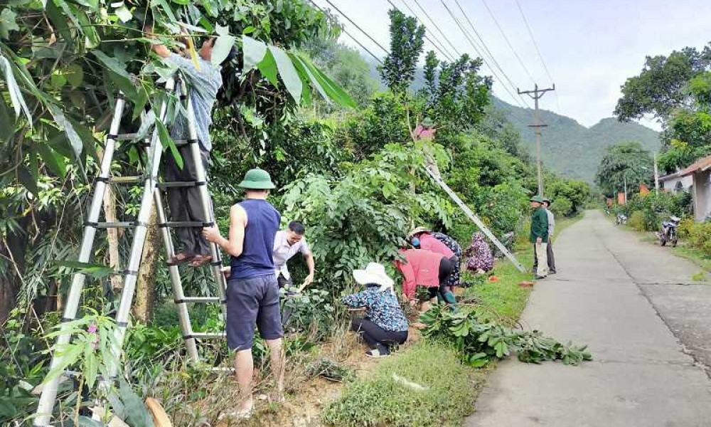 “Ngày chủ nhật xanh” - nét đẹp ở Hải Hà
