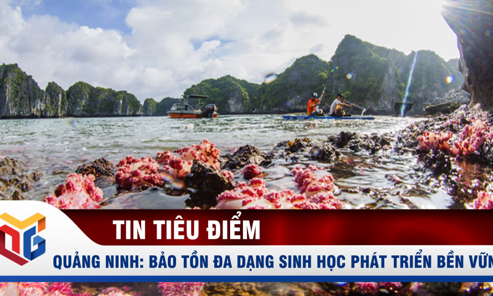 Quảng Ninh: Bảo tồn đa dạng sinh học phát triển bền vững