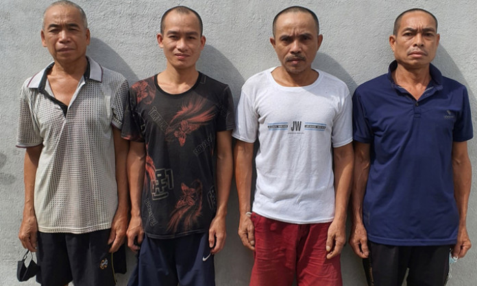 Vào chuồng bắt trộm 9 trâu, bò