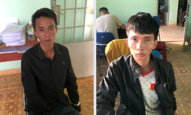 Hai anh em ruột rủ nhau đi trộm bò