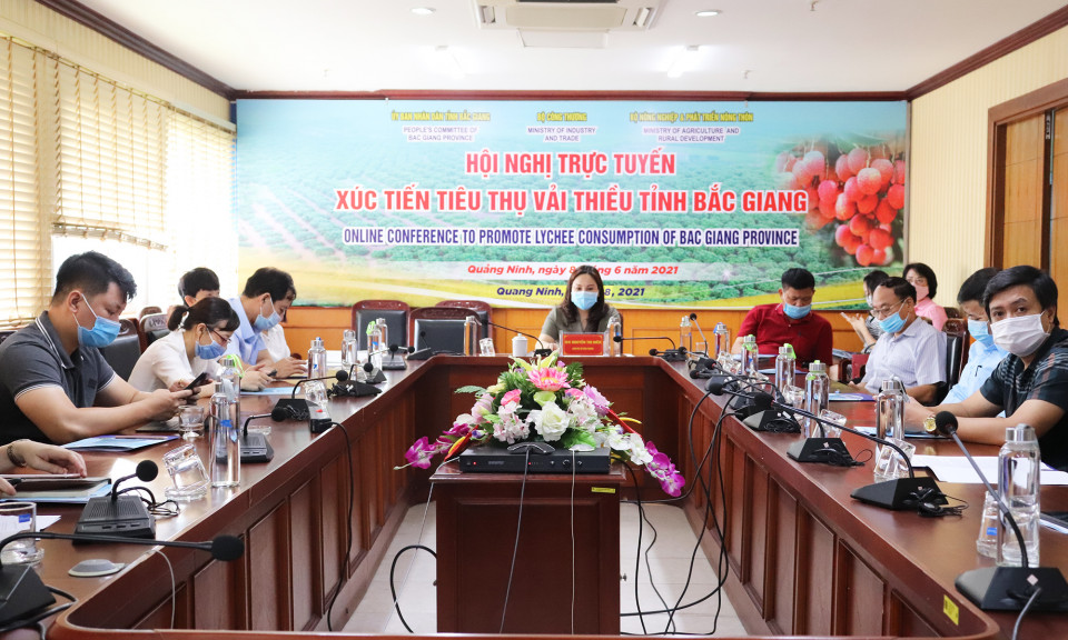 Xúc tiến tiêu thụ vải thiều Bắc Giang