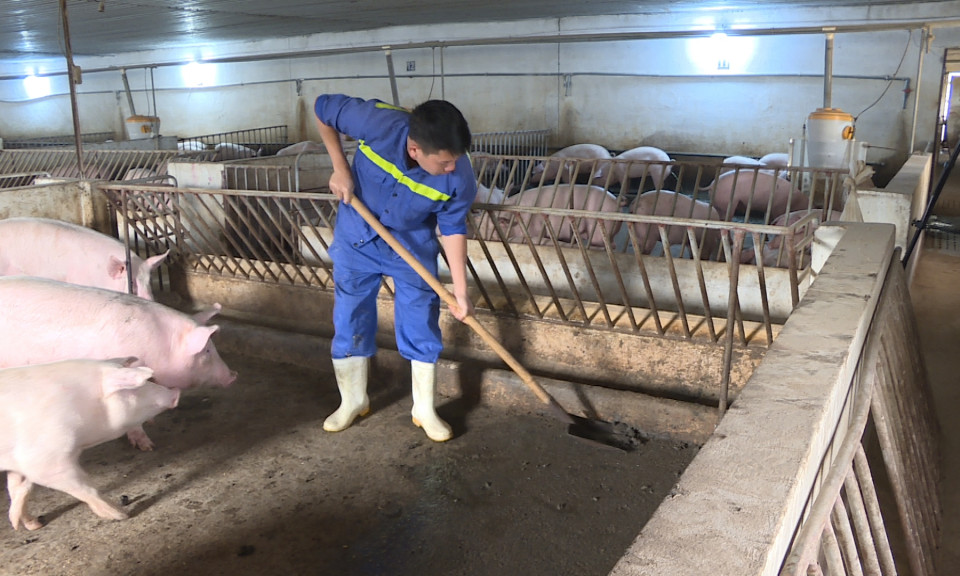 Giải pháp thiết thực phòng chống dịch bệnh