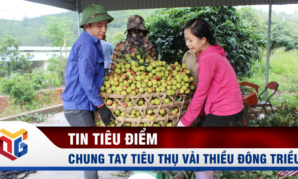 Cần người tiêu dùng chung tay tiêu thụ vải thiều Đông Triều