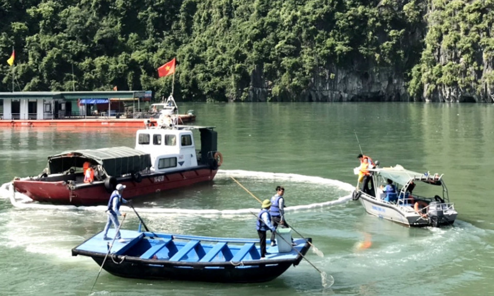 Vì một tương lai xanh