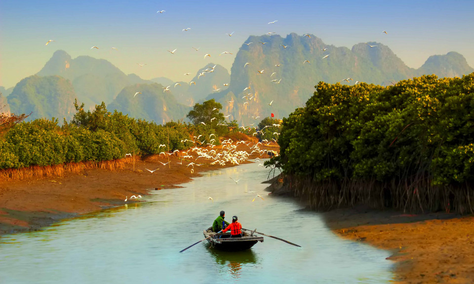 Nữ nghệ sĩ đam mê những cánh chim hoang dã