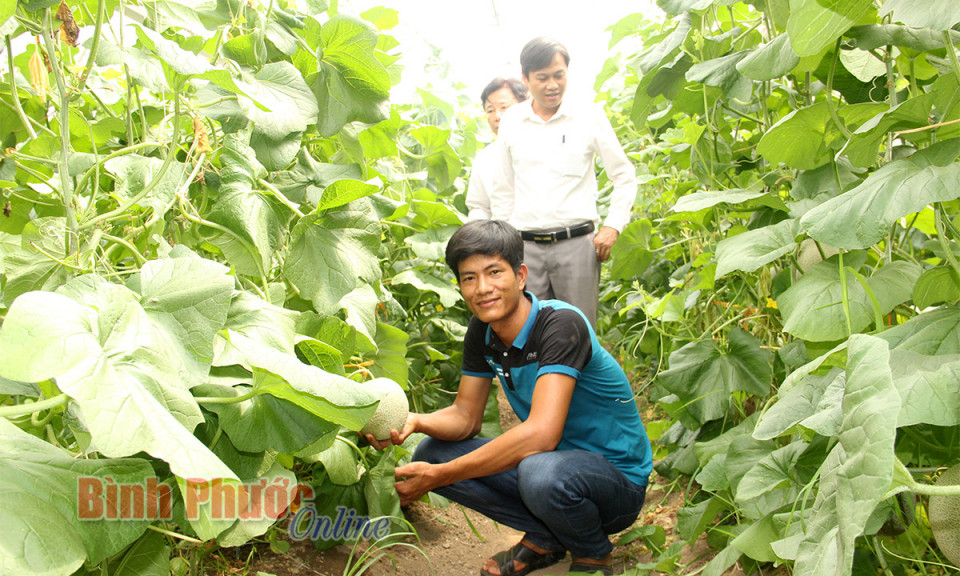 Bài 1: Khẳng định vai trò kinh tế tập thể 