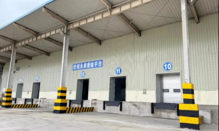 Khu giám sát quản lý hoa quả nhập khẩu cảng Khâm Châu đã thông qua thẩm định của Tổng Cục Hải quan Trung Quốc