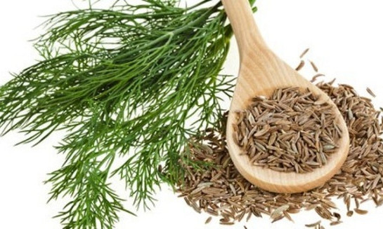 3 loại thực phẩm giúp đường ruột khỏe mạnh