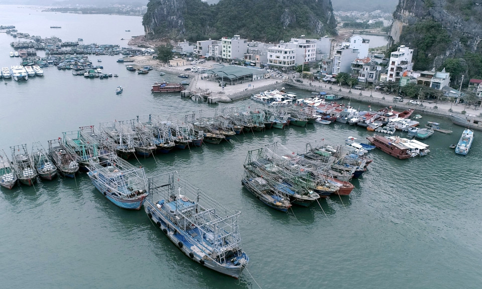 Từ 16h ngày 12/6: Quảng Ninh tạm ngừng cấp phép cho các phương tiện thủy ra khơi