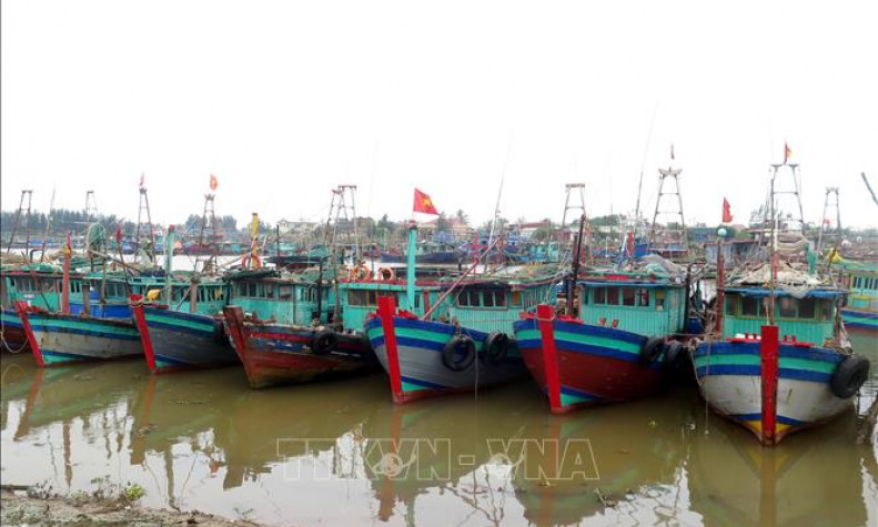 Bão số 2 gây thiệt hại lớn tại một số địa phương ven biển Nam Định