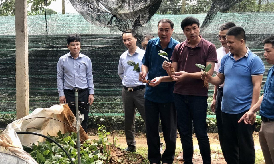 Đảm bảo tiến độ, chất lượng nhiệm vụ KH&CN