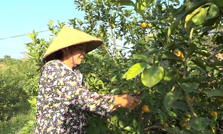 Hải Hà: Hướng tới các mục tiêu cao hơn trong xây dựng NTM