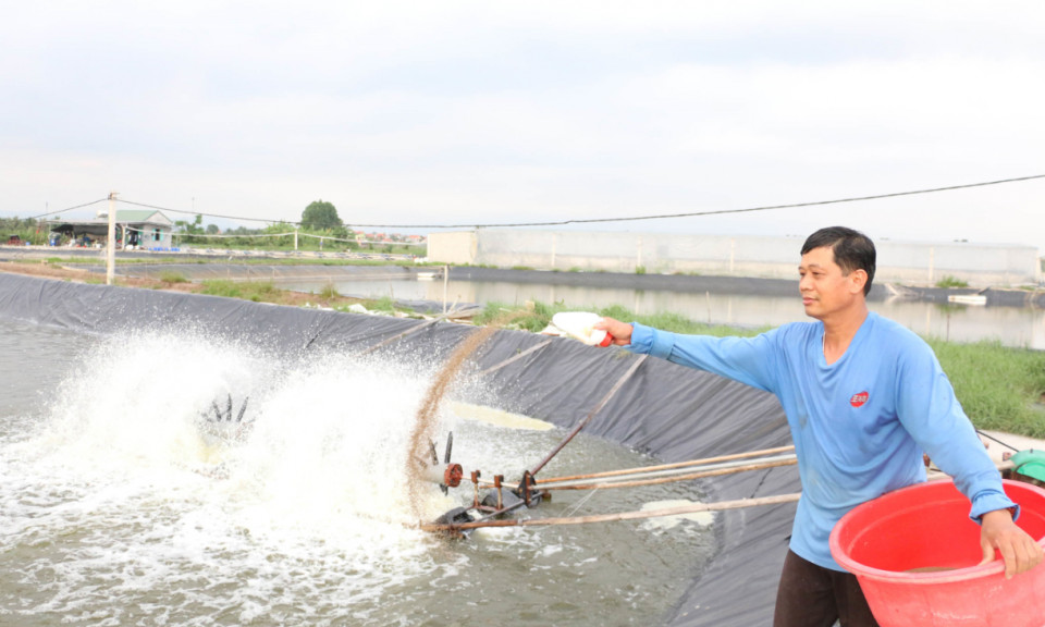 Chủ động các biện pháp chống nóng cho tôm nuôi