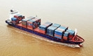Tàu biển gặp khó khăn khi đi đăng kiểm do dịch COVID-19