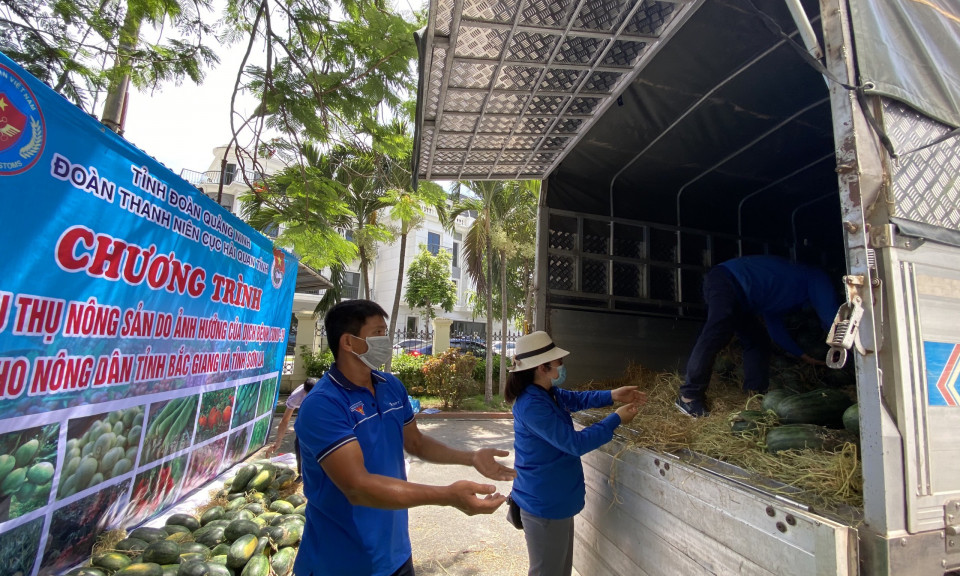 Tỉnh Đoàn Quảng Ninh hỗ trợ tiêu thụ gần 10 tấn dưa hấu Bắc Giang