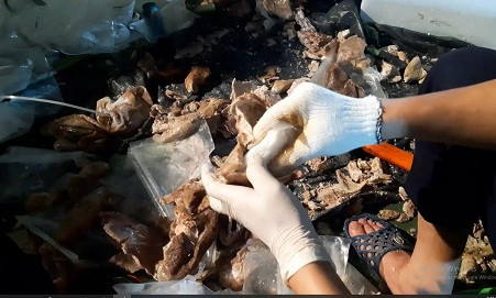 Triệt phá chuyên án ma túy lớn giấu trong dạ dày lợn, mô tô điện