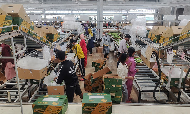 Ngân hàng Thế giới dự báo kinh tế Campuchia tăng trưởng gần 4%  năm 2021