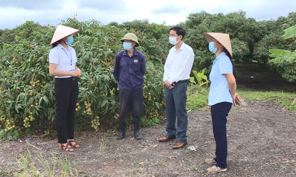 Uông Bí cụ thể hoá mục tiêu Nghị quyết của Đảng bộ thành phố