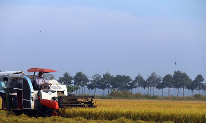 Hệ thống lương thực thực phẩm Việt Nam đối mặt nhiều thách thức