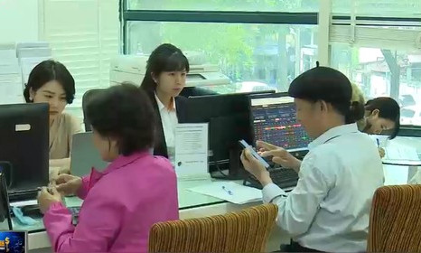 Một môi giới chứng khoán phải chăm sóc 800 - 1.000 tài khoản nhà đầu tư