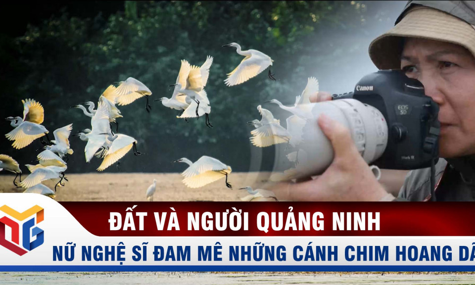 Nữ nghệ sĩ đam mê những cánh chim hoang dã