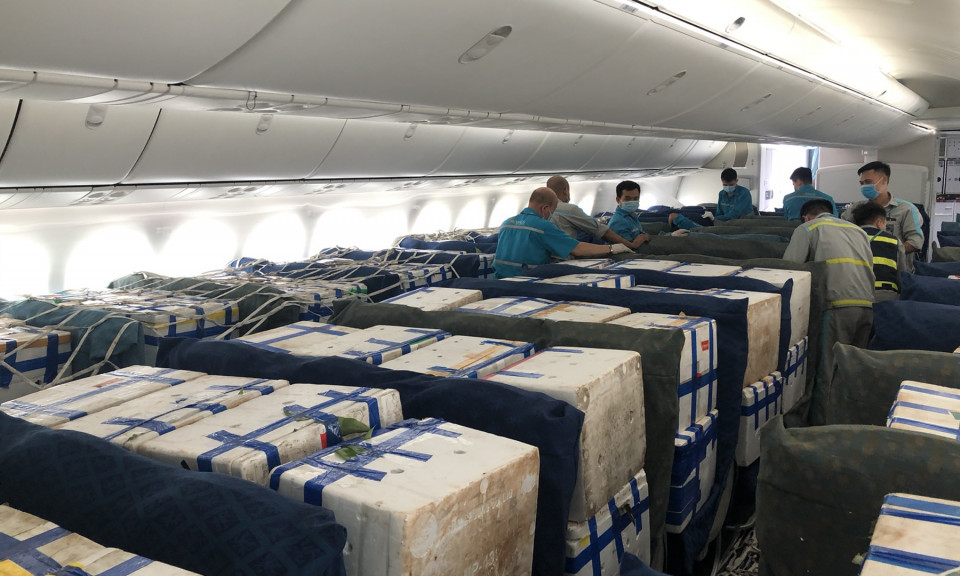 'Ế' khách, máy bay được trưng dụng khoang hành khách để chở hàng hóa