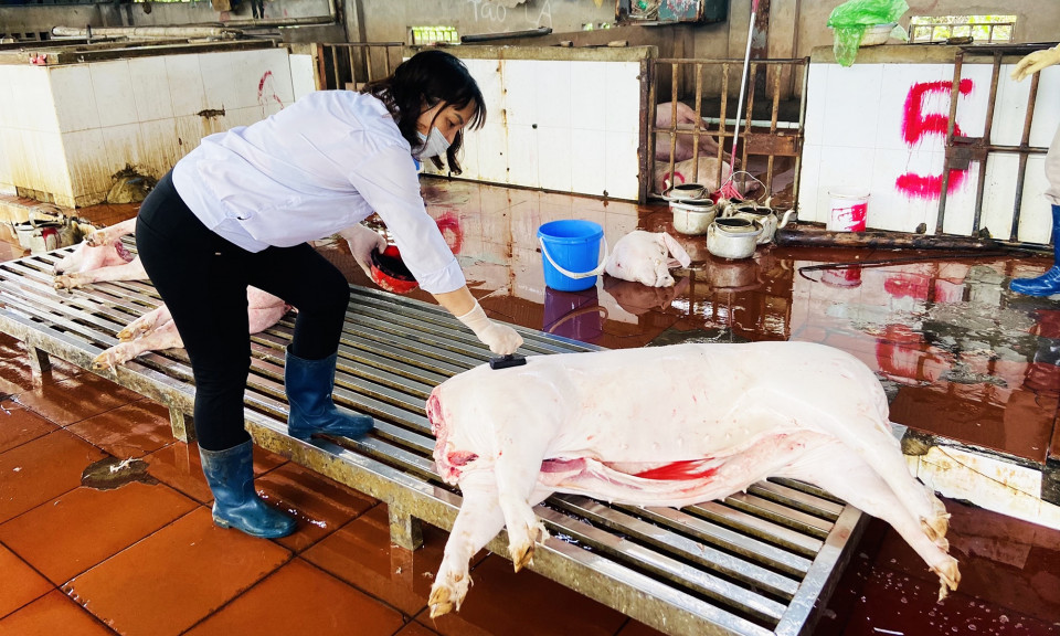 Giải pháp nào gỡ khó cho cơ sở giết mổ tập trung