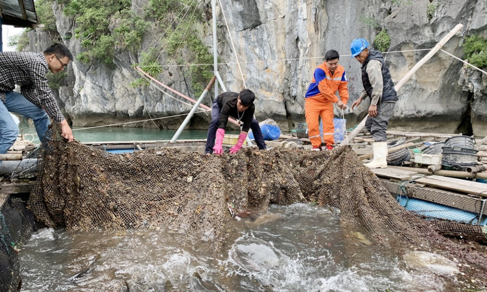 Ngành Nông nghiệp quyết tâm giữ vững đà tăng trưởng