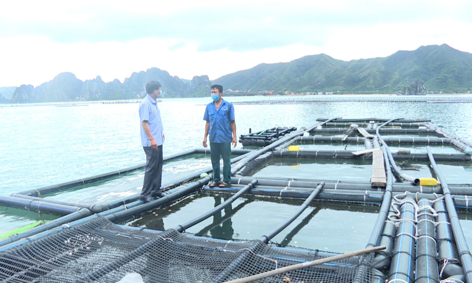Quảng Ninh quyết xóa sổ phao xốp trong nuôi trồng thủy sản